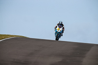 PJ-Motorsport-2019;anglesey-no-limits-trackday;anglesey-photographs;anglesey-trackday-photographs;enduro-digital-images;event-digital-images;eventdigitalimages;no-limits-trackdays;peter-wileman-photography;racing-digital-images;trac-mon;trackday-digital-images;trackday-photos;ty-croes
